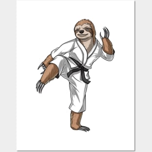 Sloth Karate Posters and Art